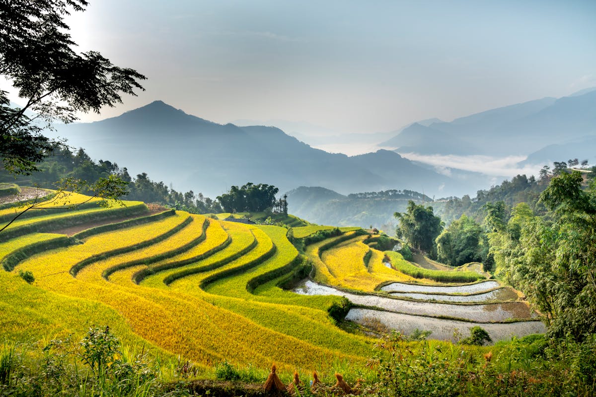 đặc sản Điện Biên chuẩn vị Tây Bắc