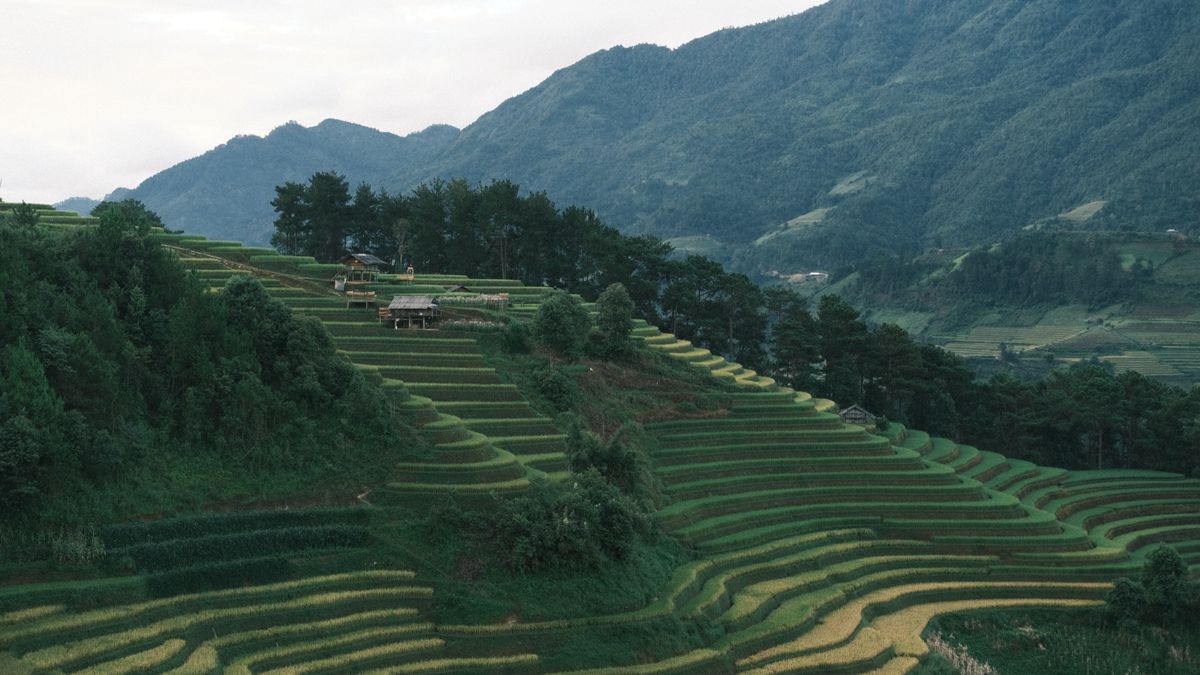 đi Sapa mua gì làm quà đặc sản núi rừng gác bếp gia vị thổ cẩm