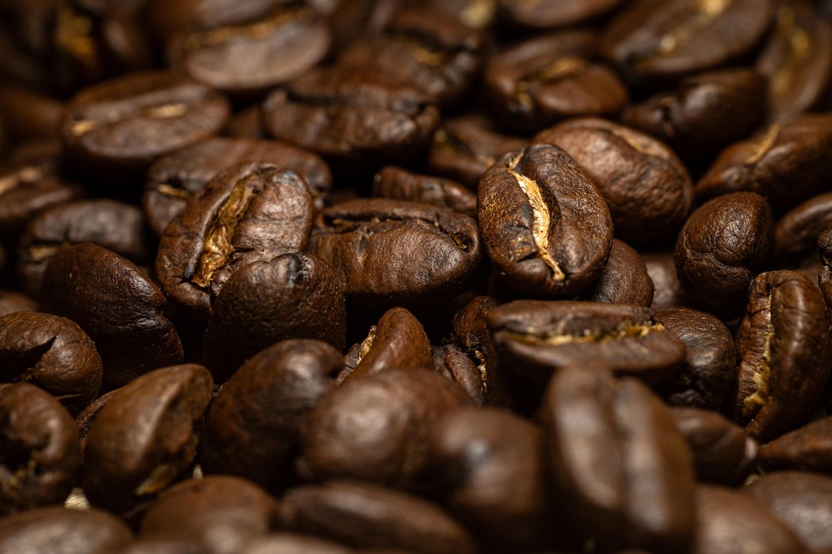 cà phê Sơn La làm quà tặng đóng gói hộp Arabica vùng cao