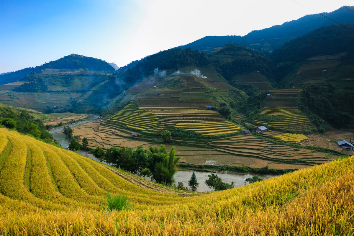 Đặc sản Yên Bái giữa khung cảnh núi rừng vùng cao