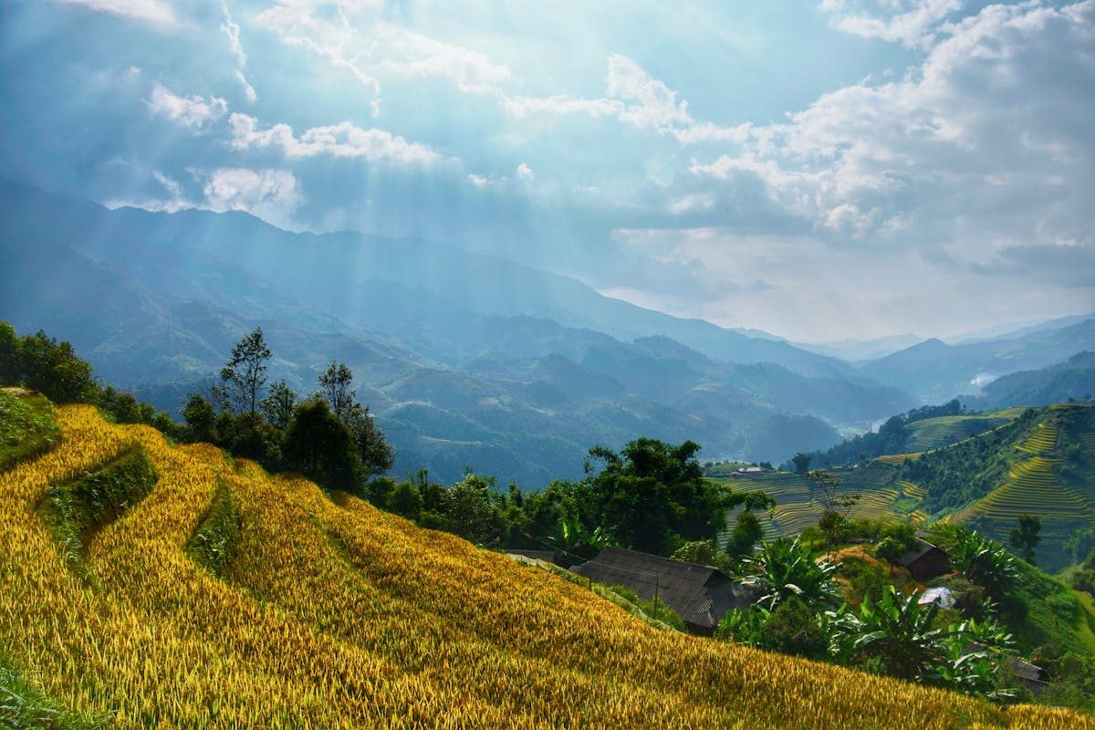 đặc sản Sơn La chuẩn vị Tây Bắc