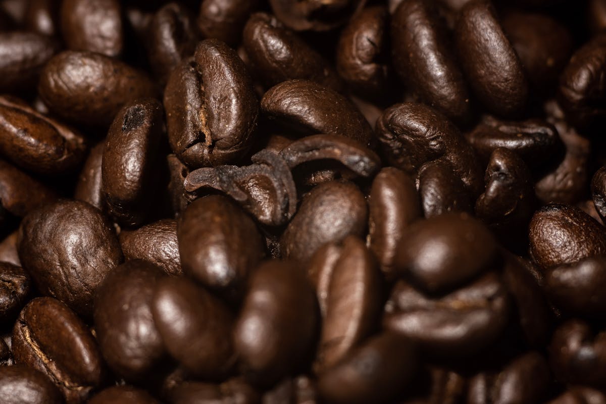 cách pha cà phê Arabica Sơn La ngon Tây Bắc
