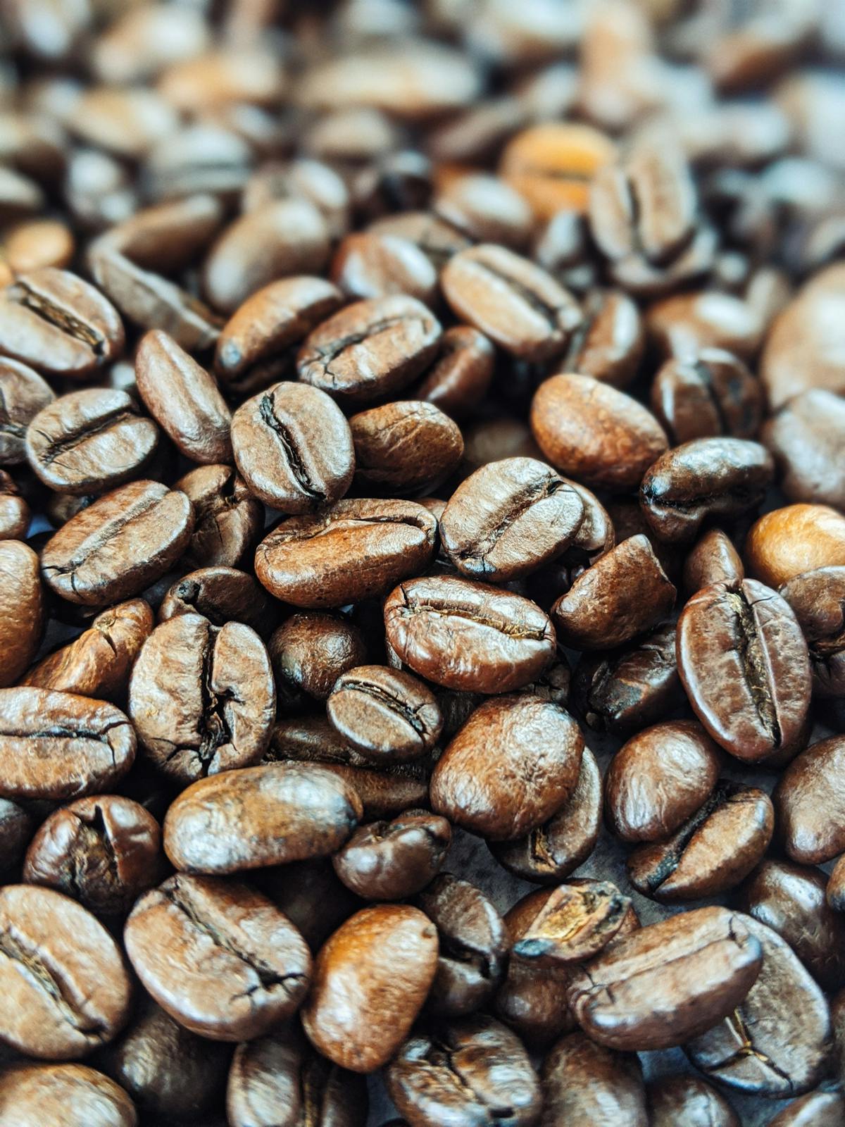 cà phê Arabica Sơn La đặc sản với hạt rang và tách cà phê